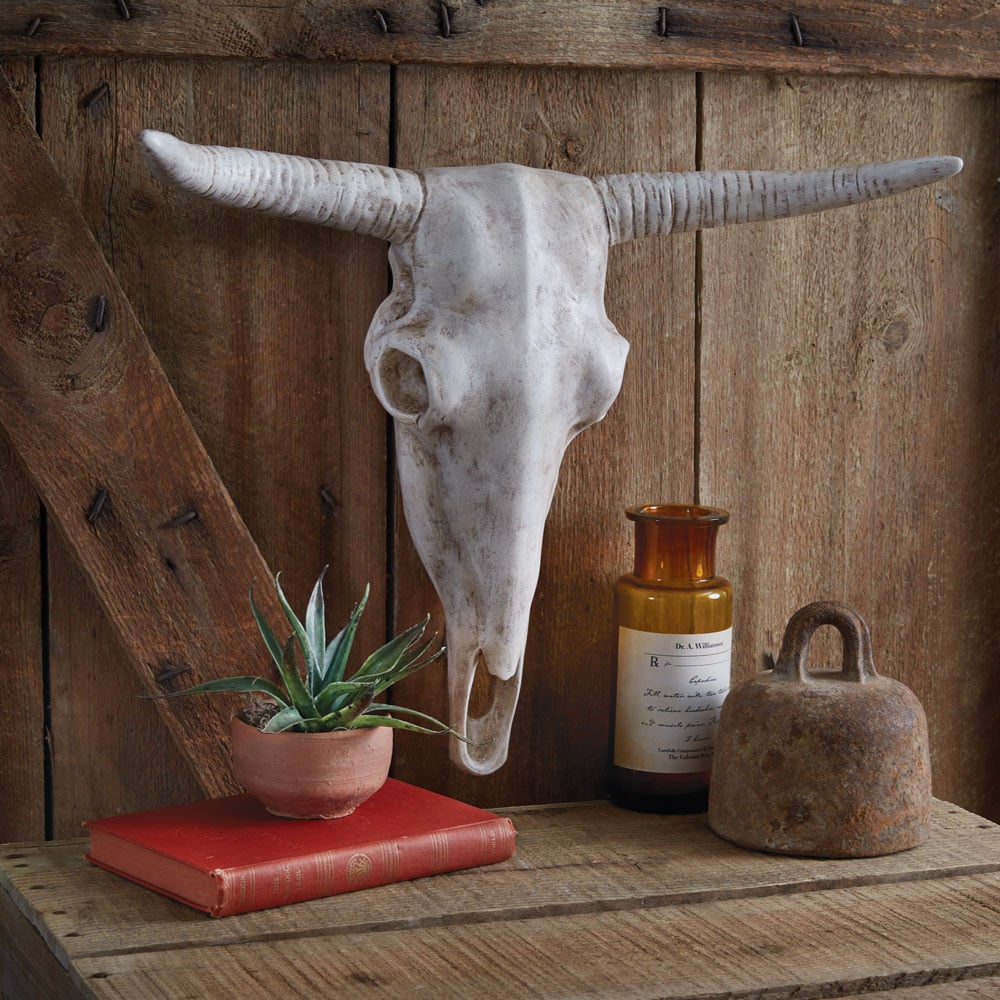 Picture of CTW Home Collection 680661 Longhorn Resin Skull