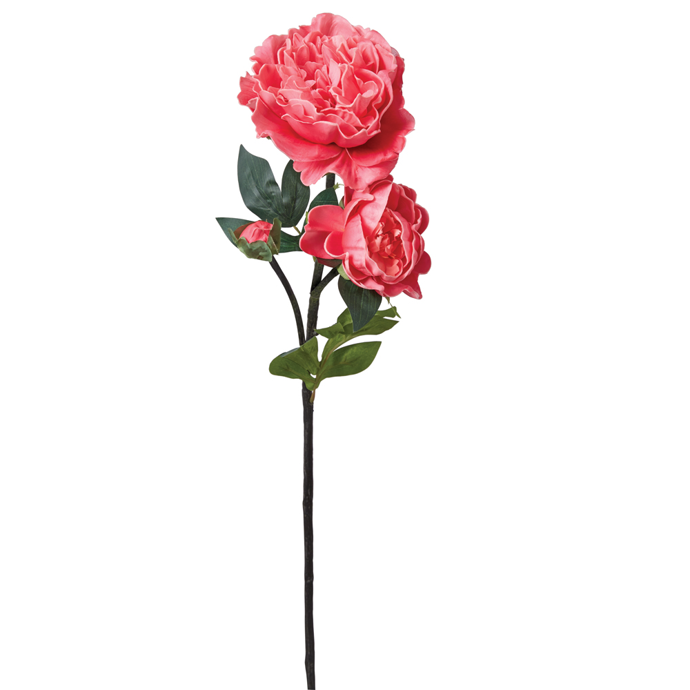 Picture of CTW Home Collection 600006 Peony Stem - Pink - Box of 4