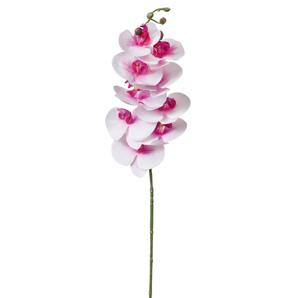Picture of CTW Home Collection 600007 Moon Orchid Stem - Box of 4