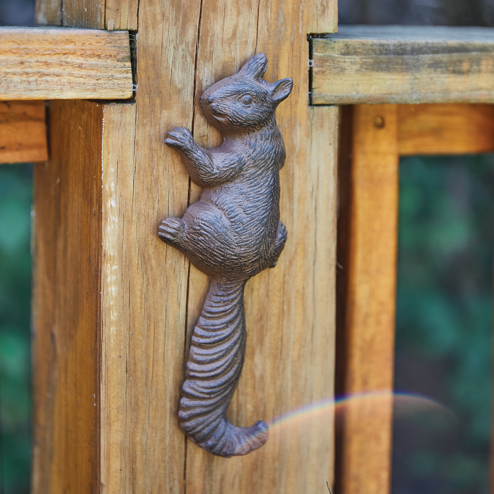 Picture of CTW Home Collection 420270 Climbing Squirrel Wall Hook - Box of 2