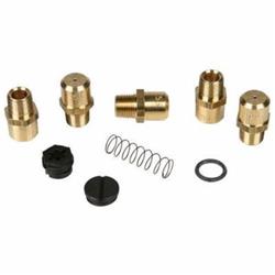 F1981 LP to NG Gas Conversion Kit