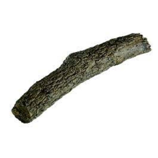BR-21 21 in. Oak Tree Branches