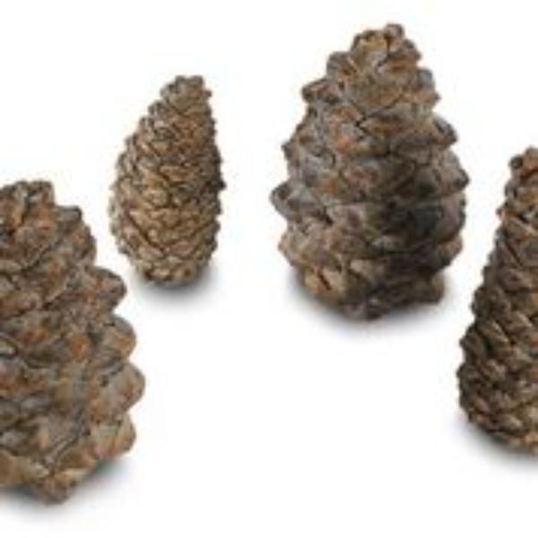 PC-4-6 4 Designer Pines Cones - Pack of 6