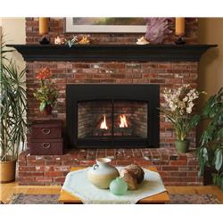 Picture of Empire DVC26IN31P Propane Gas Millivolt Log Set with Blower