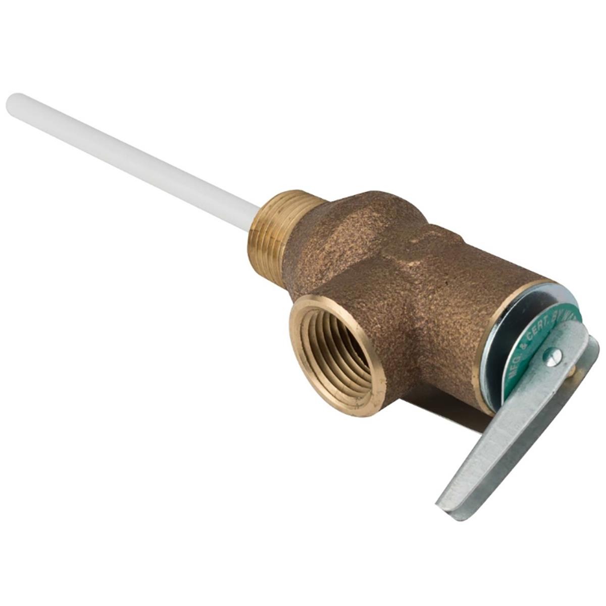 Temperature & Pressure Relief Valve