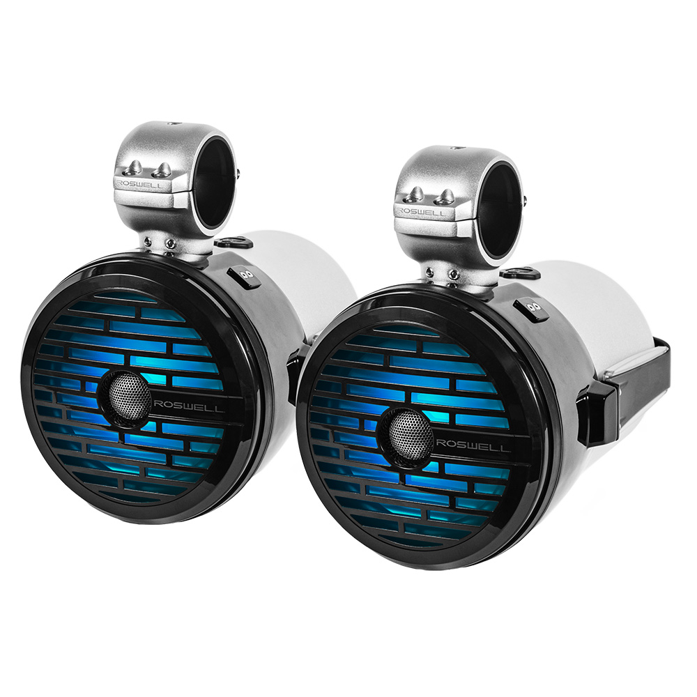 C920-1711 8 in. R1 Tower Speakers, Black - 100W RMS & 200W Peak Power