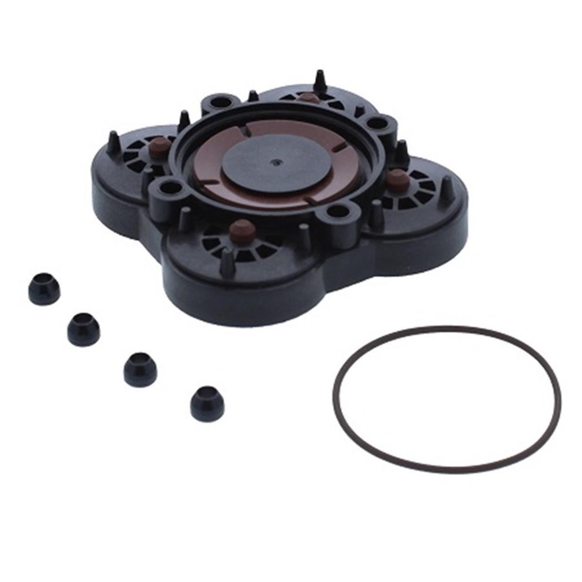 18911-7020 Viton Valve Kit