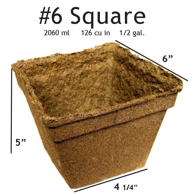6SQ24 CowPots #6 Square Pot - 24 pots