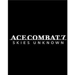 Namco Bandai Entertainment  Ace Combat 7 Skies PS4