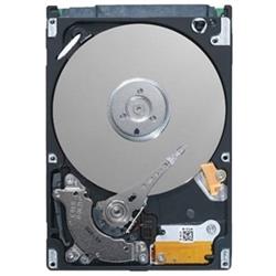 10TB SkyHawk Surveillance SATA Hard Drives