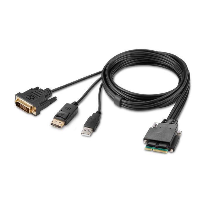 F1DN2MOD-HC-DP6 6 ft. Modular DVI & DP Dual-Head Host Cable