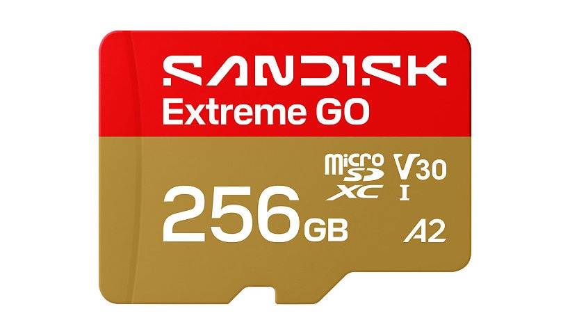 SDSQXGN-256G-GN6MN 256 GB Extreme Go microSDHC UHS-I Flash Memory Card