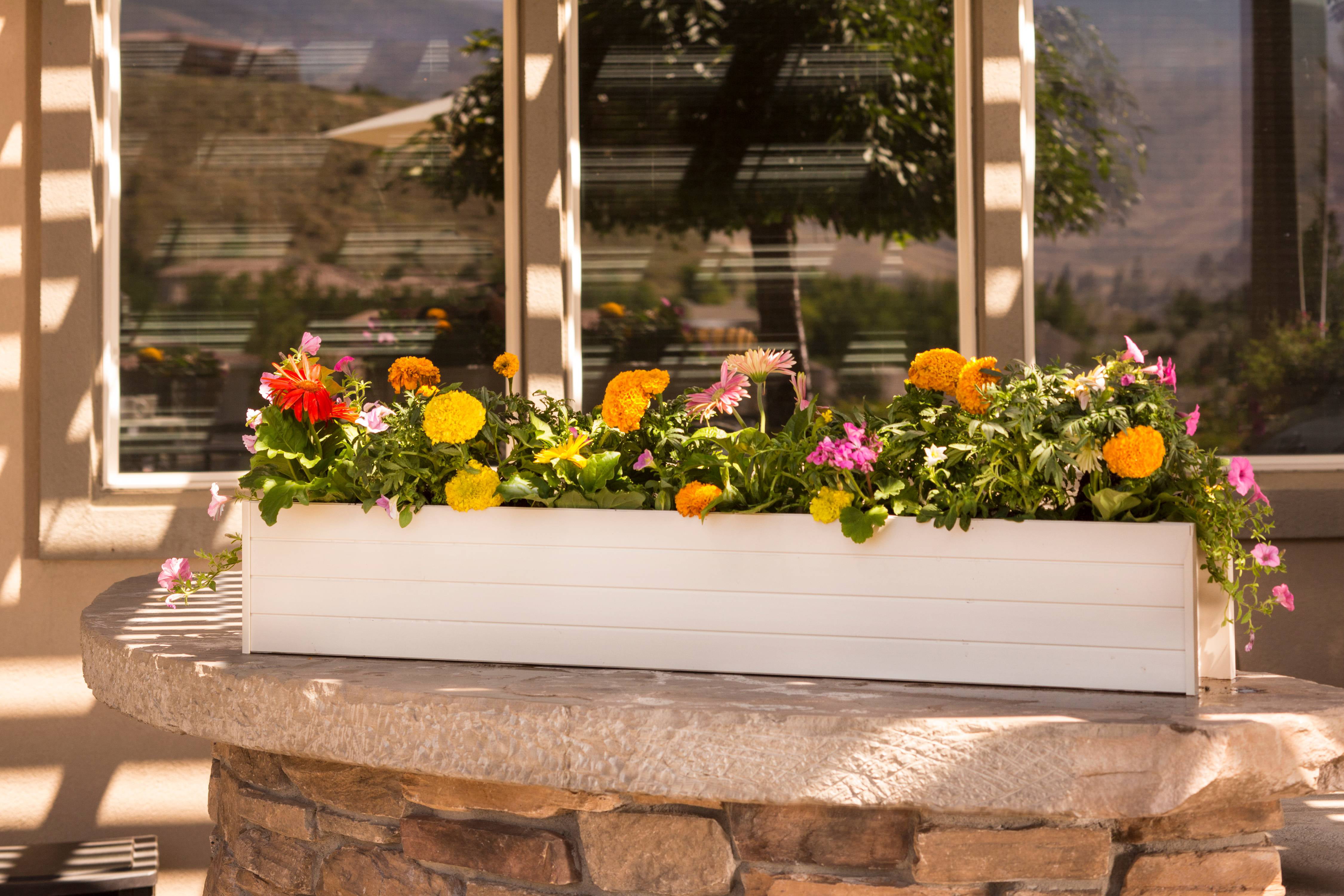 EPWB103-R48 48 in. Rectangular Flower Herb Window Box