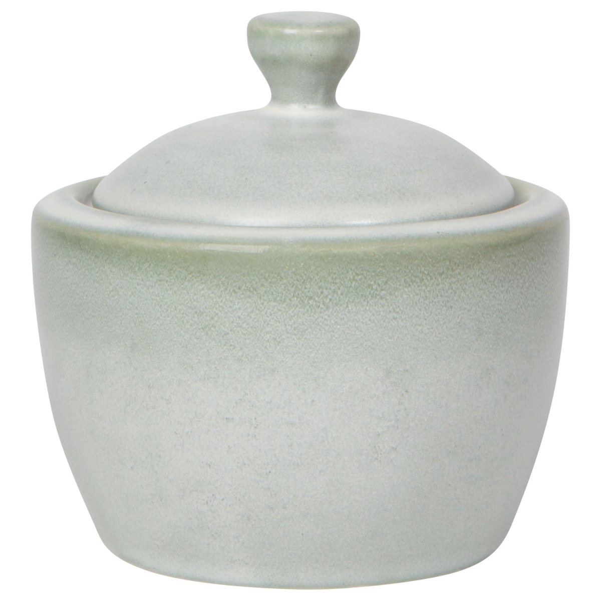 Picture of Danica Brands HSV2259D 20 oz Aquarius Sage Sugar Pot