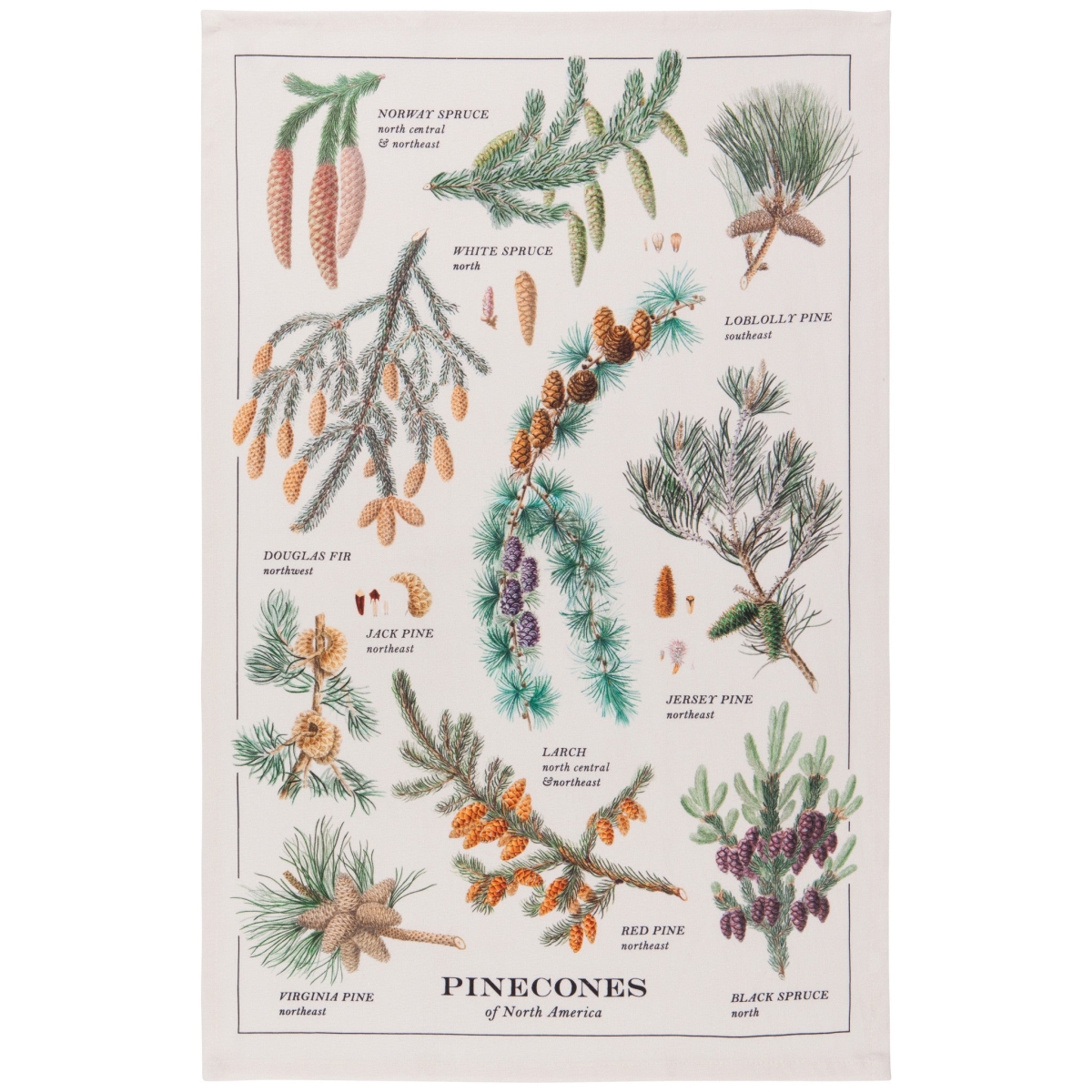Picture of Danica Brands NKT2387D 18 x 28 in. Pinecones Dishtowel