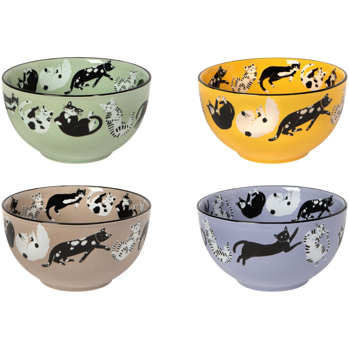 Picture of Danica Brands JBO3154D 14 oz Meow & Furever Bowls - Assorted Color, Set of 4