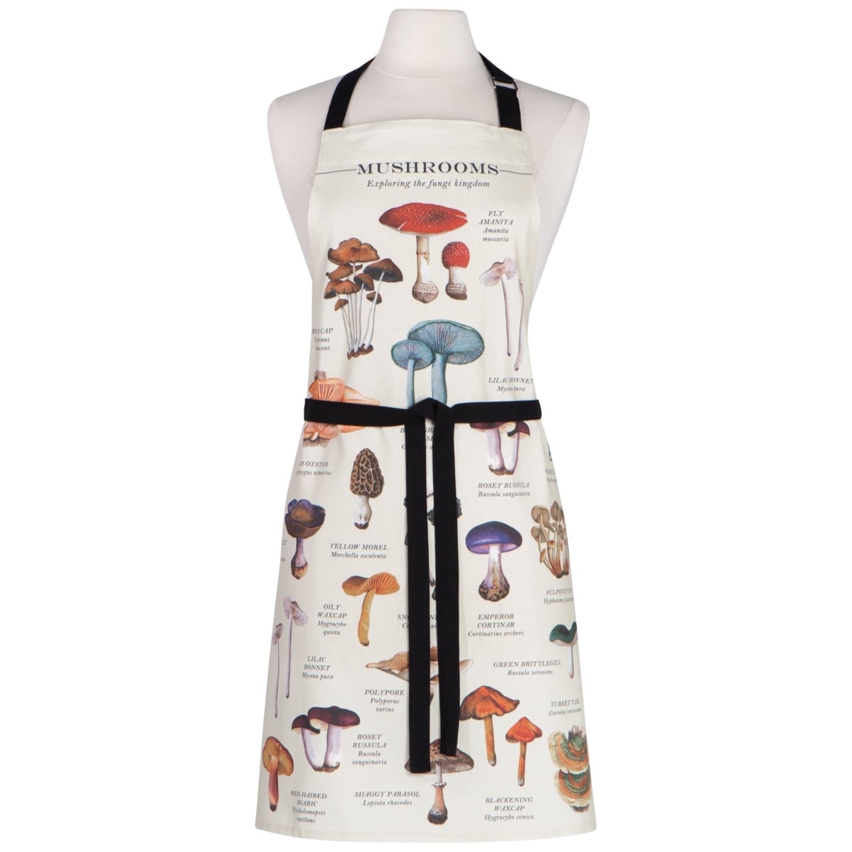 Picture of Danica Brands NAP3623D 28 x 32 in. Mushrooms Cotton Apron
