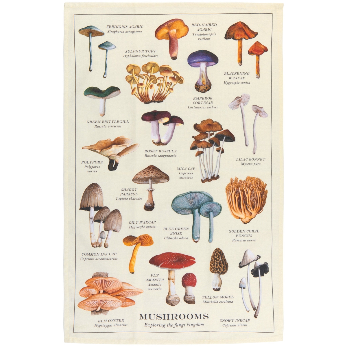 Picture of Danica Brands NKT3625D 18 x 28 in. Mushrooms Fine Print Dishtowel