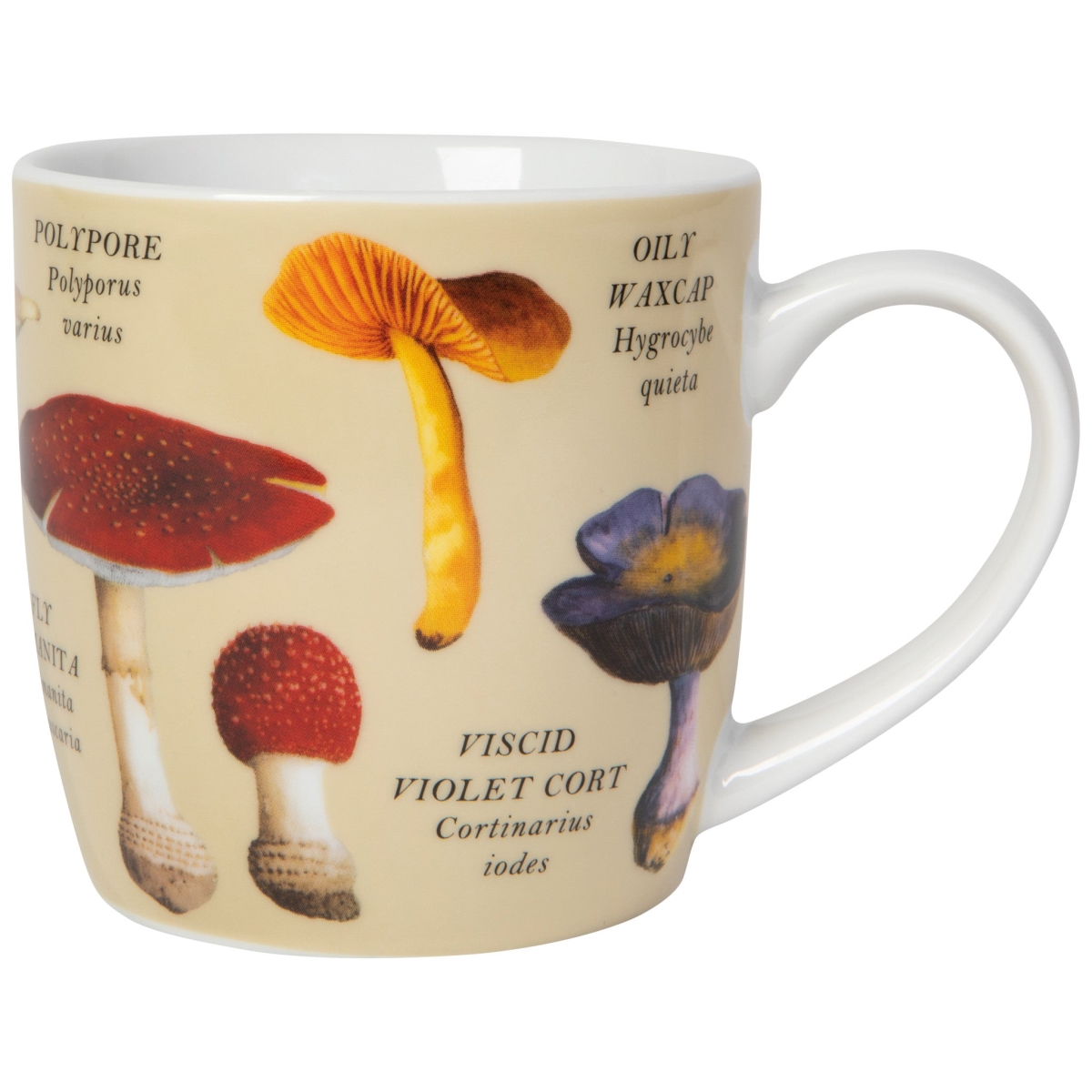 Picture of Danica Brands NMG3624D 12 oz Mushrooms Mug