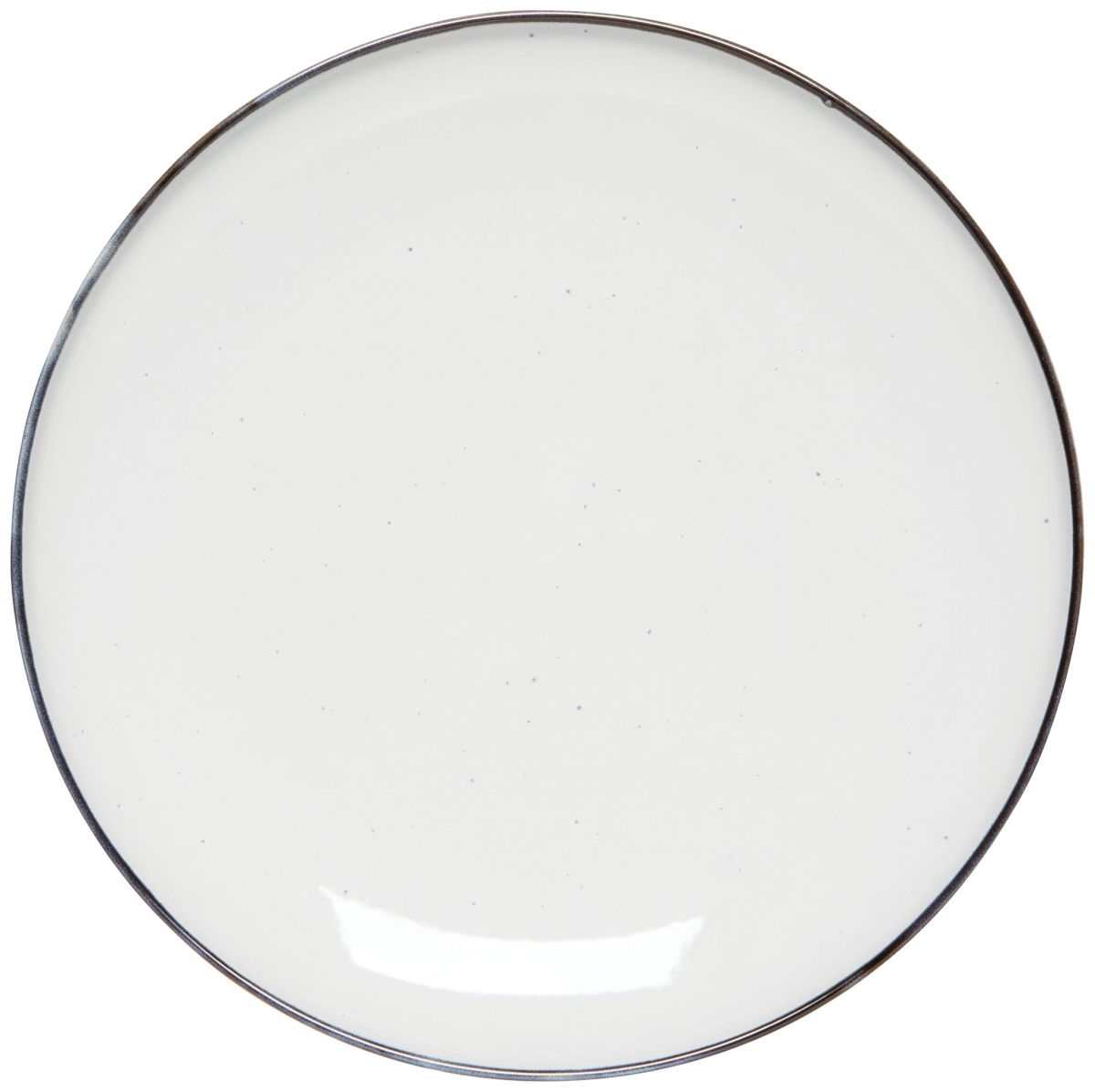 Picture of Danica Brands HPT4103D 10.5 in. Tundra Dinner Plate