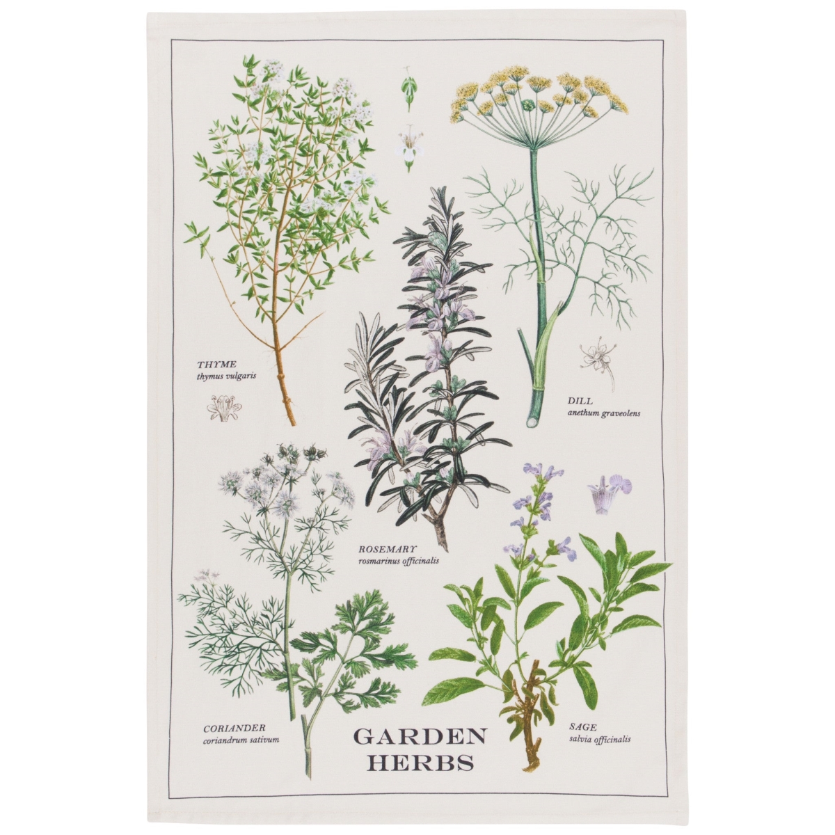 Picture of Danica Brands 2177348 18 x 28 in. Garden Herbs Dishtowel