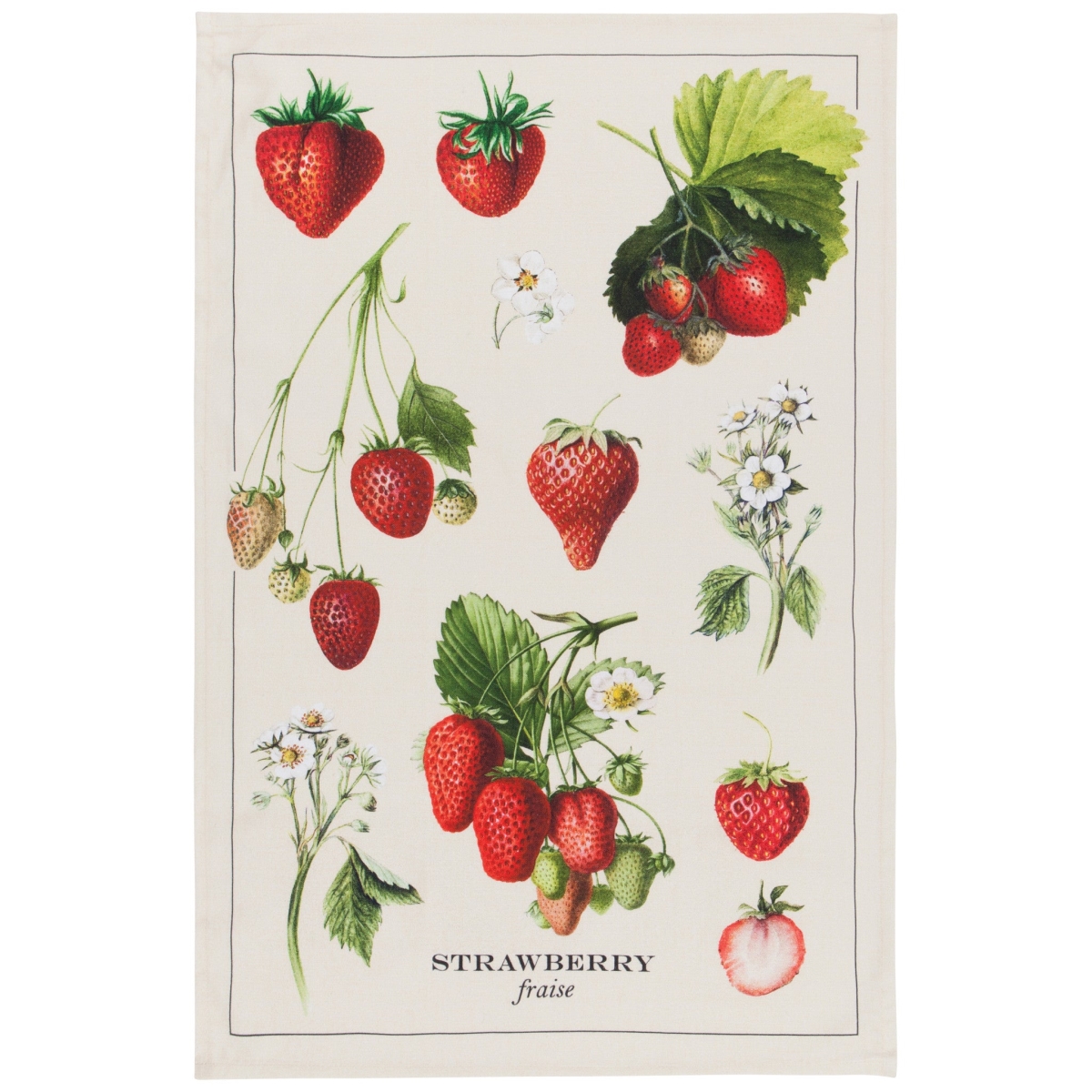 Picture of Danica Brands 2177349 18 x 28 in. Vintage Strawberries Dishtowel