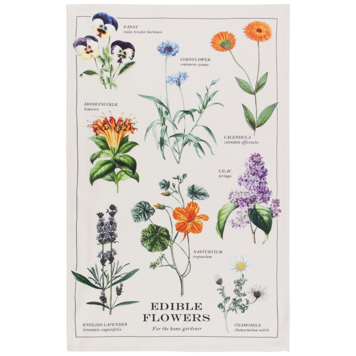 Picture of Danica Brands 2177350 18 x 28 in. Edible Flowers Dishtowel