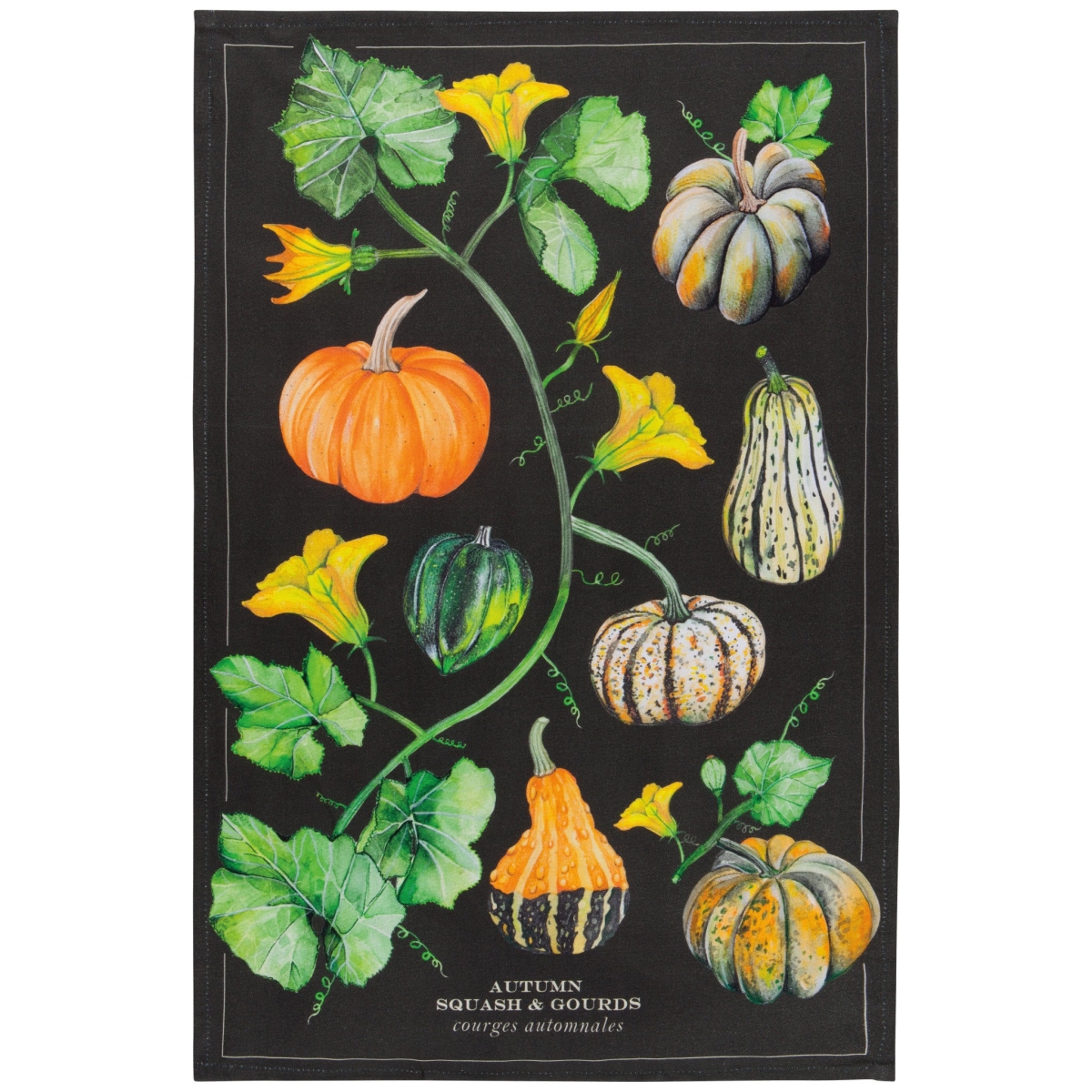 Picture of Danica Brands 2177364 18 x 28 in. Autumn Squash Cotton Dishtowel