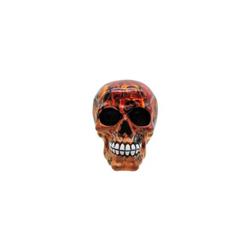 P754923 Skull with Flame Design