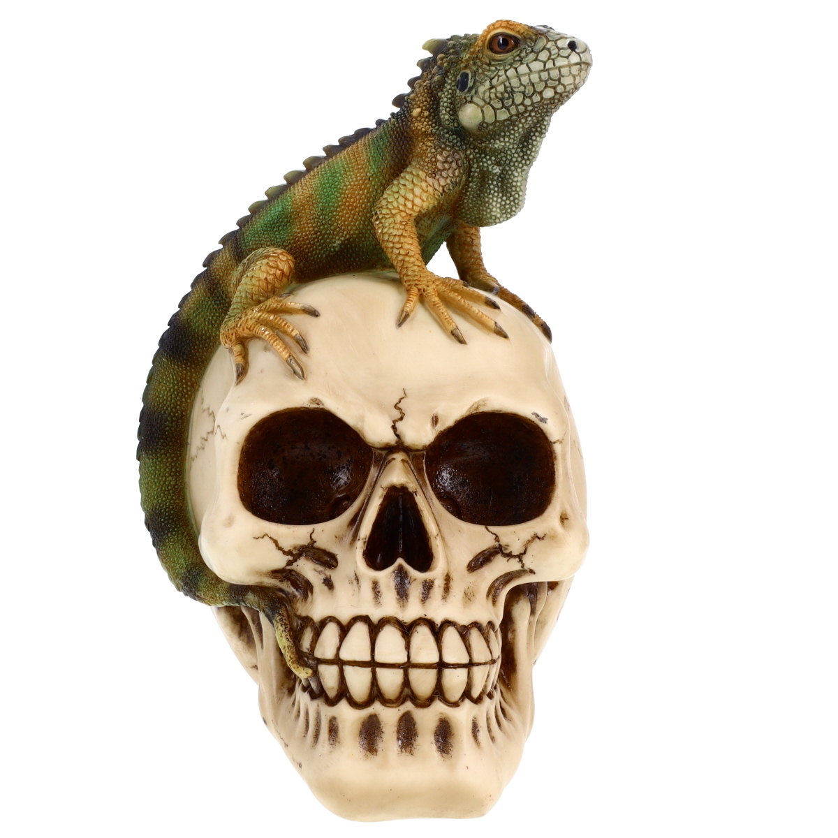 P784112A  Resin Iguana on a Skull Design P784112A Calaveras Halloween Decoration Gothic Lizard Skeleton Head Dia de los Muertos Alebrijes