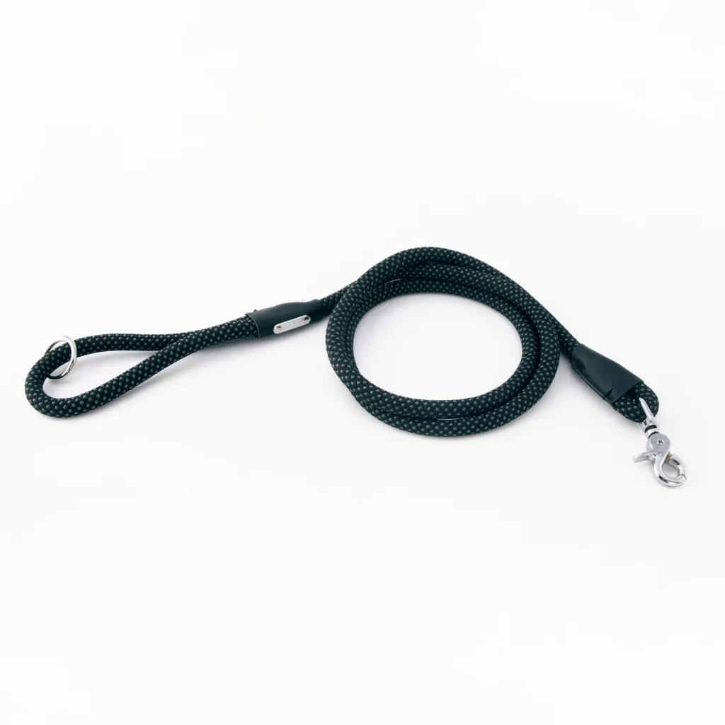 ZP373 5 ft. Mod Essential Rope Dog Leash - Black