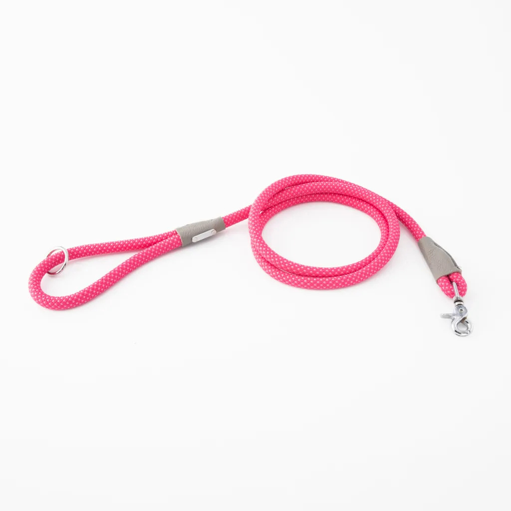 ZP375 5 ft. Mod Essential Leash, Pink