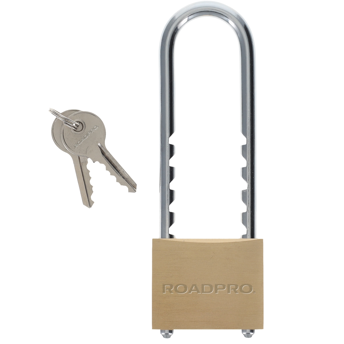 RP24LK50 50 mm Padlock with Adjustable Shackle
