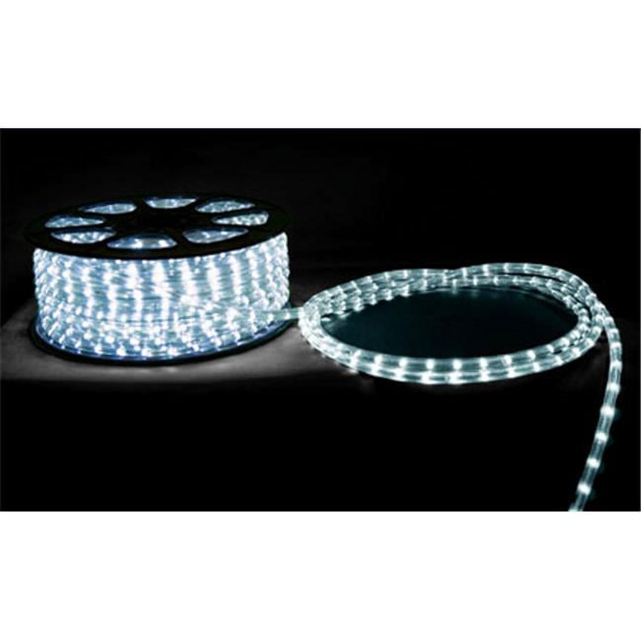 Picture of Dabmar Lighting LV-LED4-W 6 ft. 2.7 watts 65 LED Round Rope Light