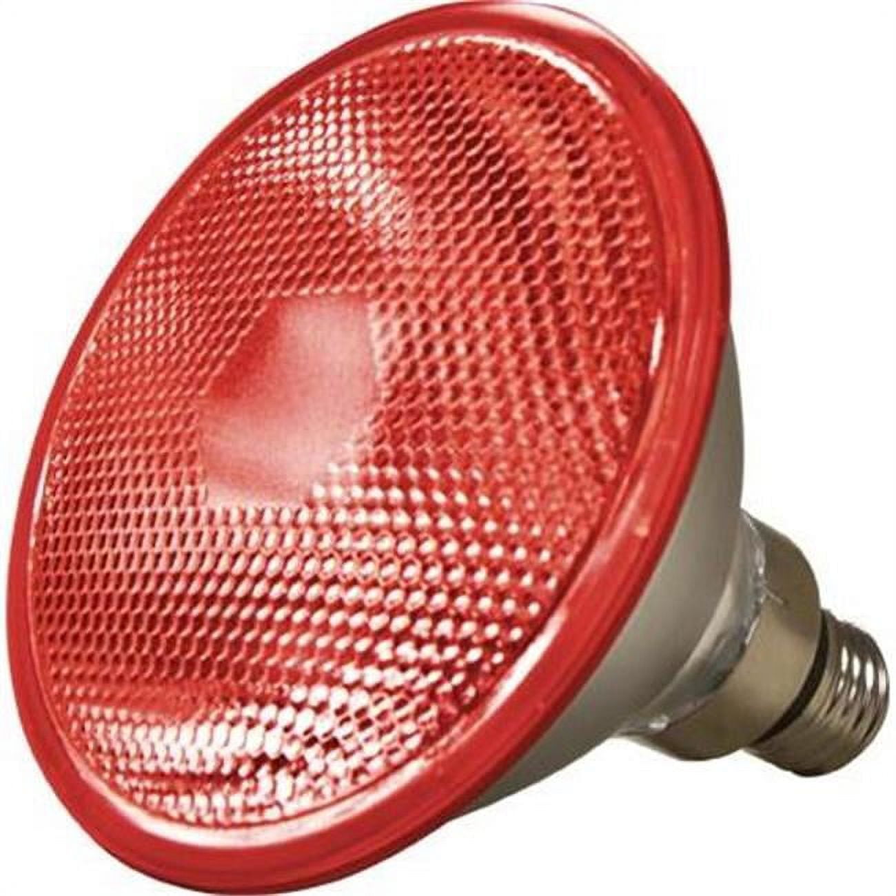 PAR38 Type Medium Base 100 watt MH Red 120 V Lamp