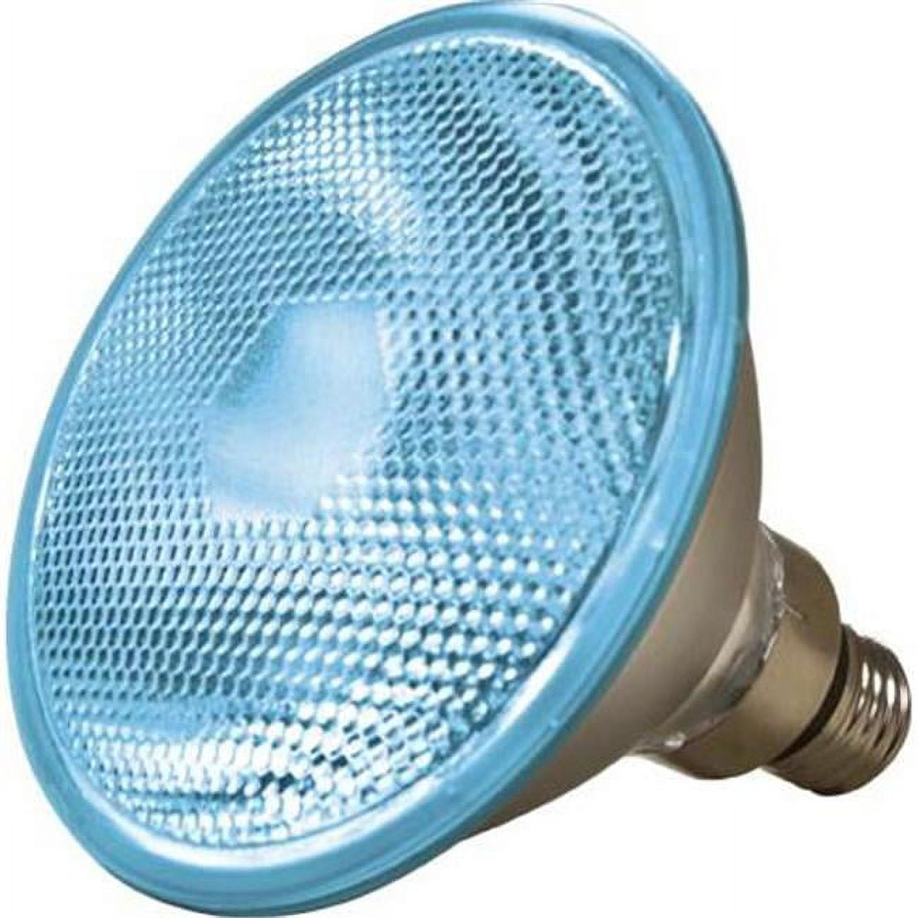 PAR38 Type Medium Base 70 watt MH 120 V Blue Lamp