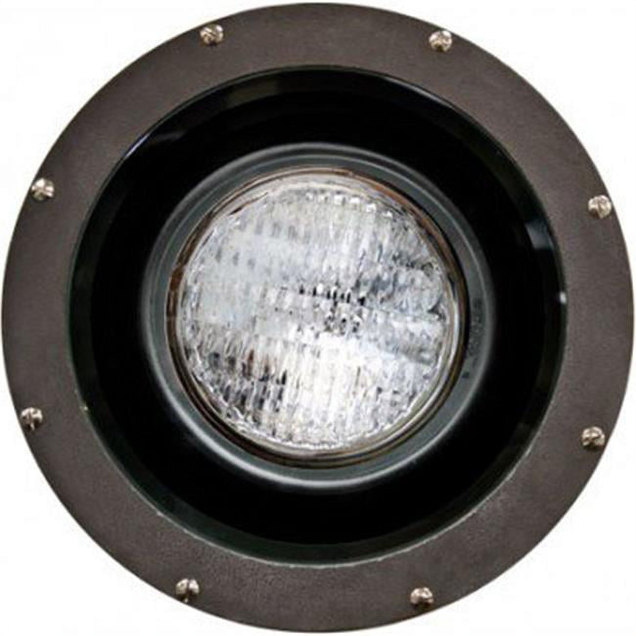 Picture of Dabmar Lighting FG4300-LED18-S 18 watt Spot PAR38 LED Fiberglass Well Light, Bronze - 120V