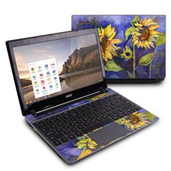 Picture of DecalGirl ACC7-DDREAMING Acer Chromebook C7 Skin - Day Dreaming