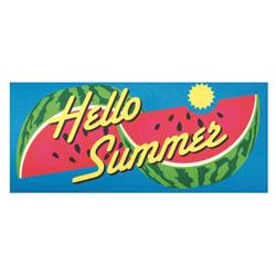 DM011802 Doormat Insert Watermelon Hello Summer