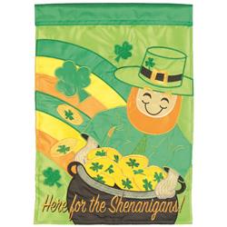 M011727 Flag Here For The Shenanigans! 13x18