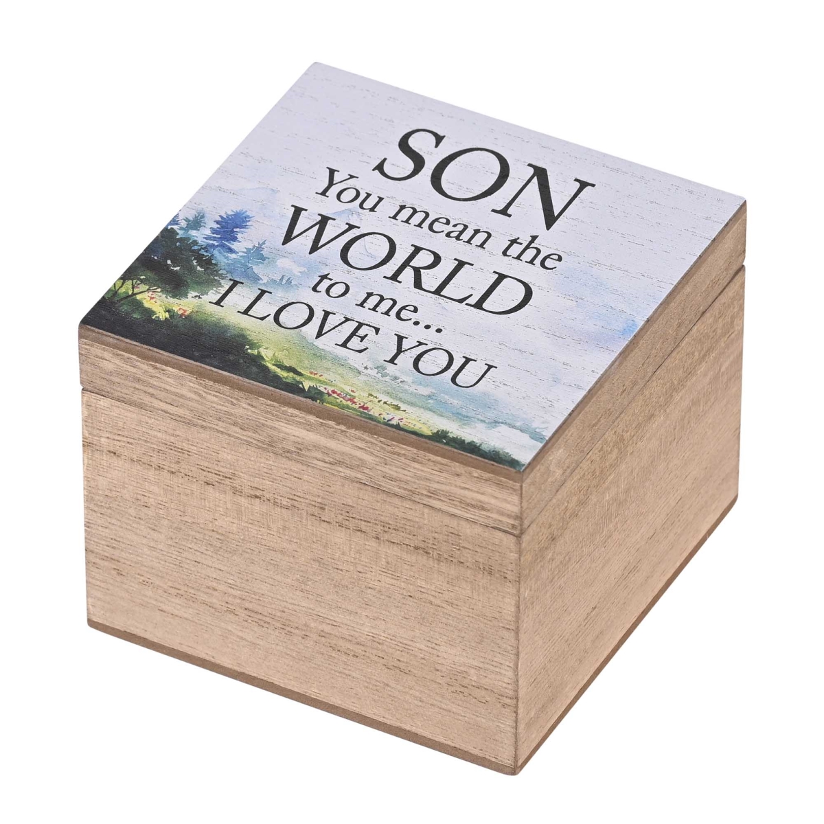 EWOODBOX-44-14 Keepsake Box Son You Mean The World