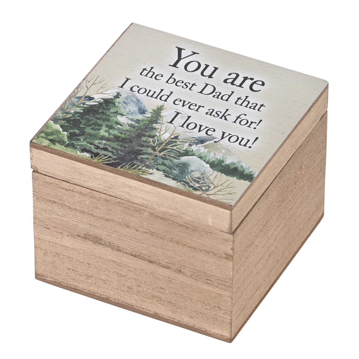 EWOODBOX-44-13 Keepsake Box You Are The Best Dad