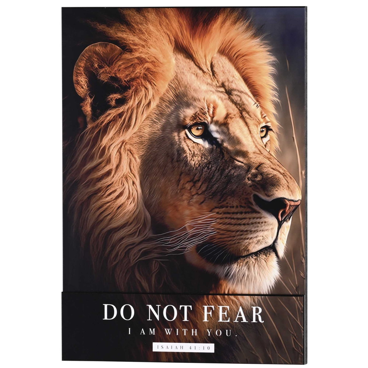 SPLK1420-350 Stacked Wall Plaque Do Not Fear I Am