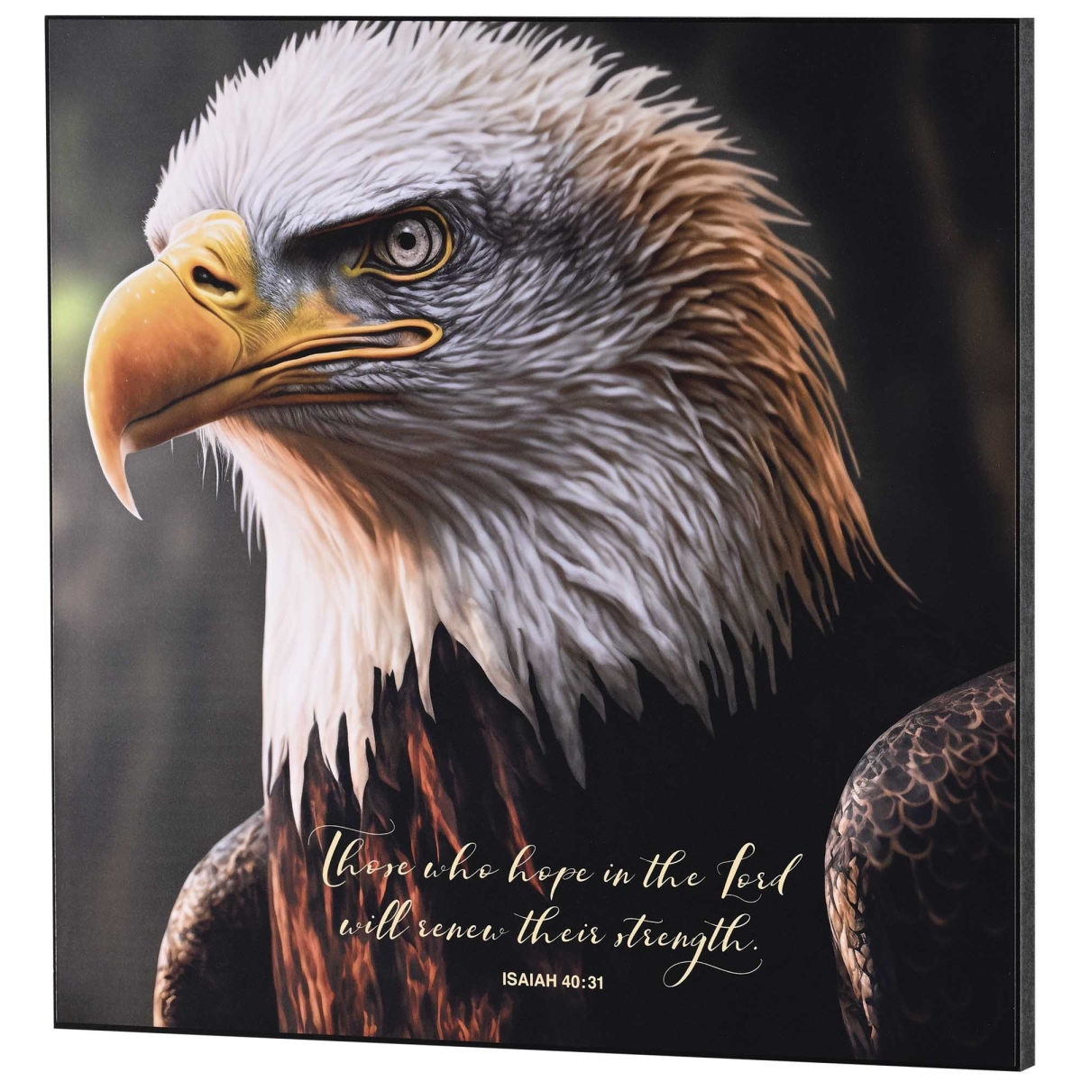 PLK1515-356 Wall Plaque Those Who Hope In The Lord