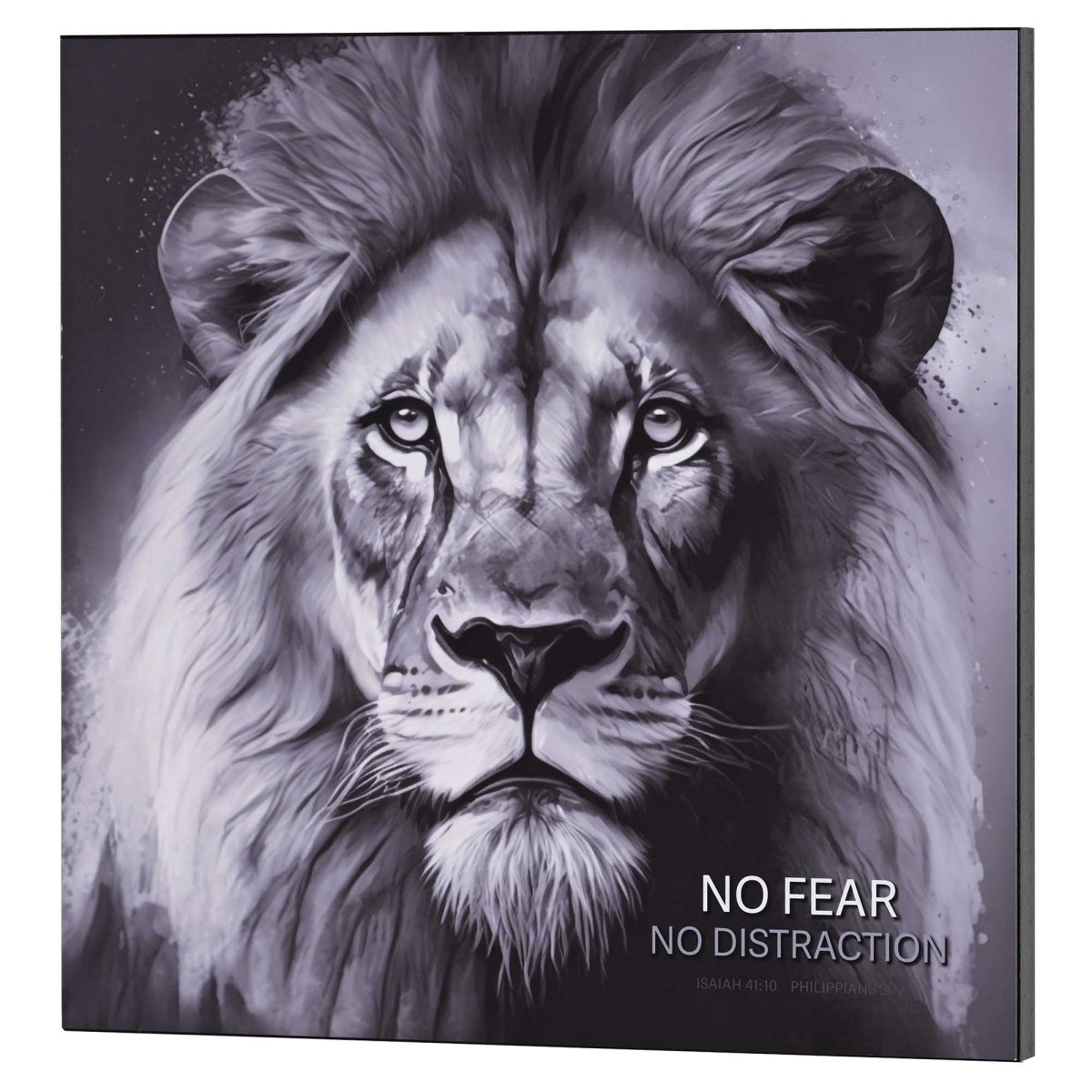 Picture of Dicksons PLK1515-378 Wall Plaque No Fear No Distraction 15x15