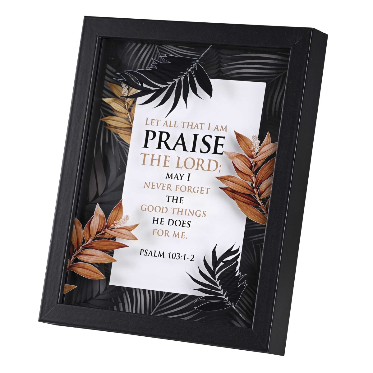 FRMWDBL-810-110 Framed Wall Art Praise The Lord 8x10