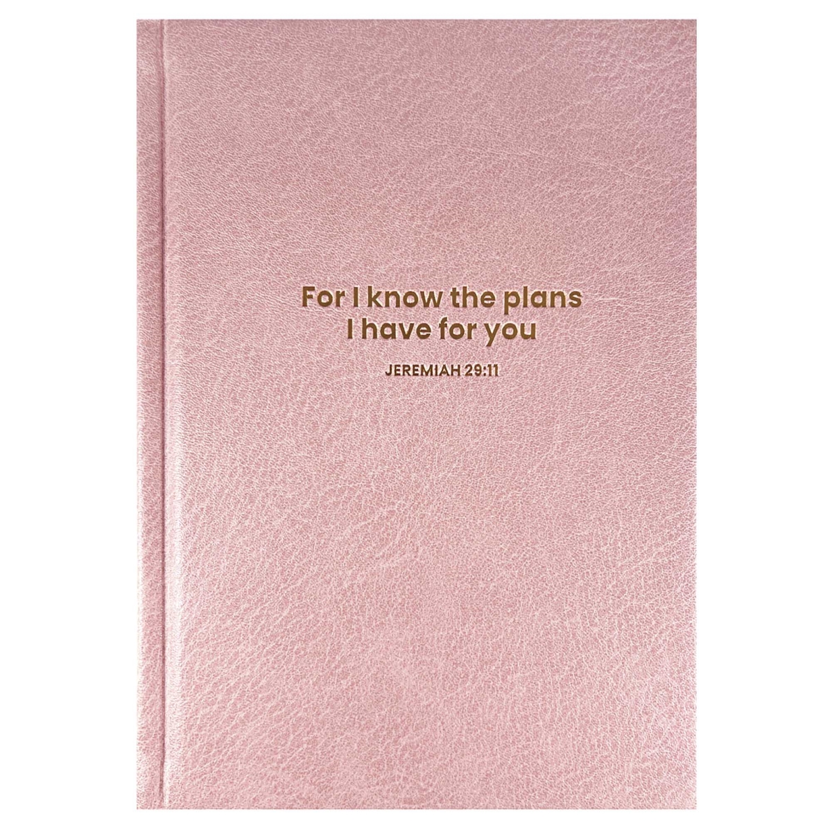 28311 Journal Jeremiah 29 For I Know The Plans