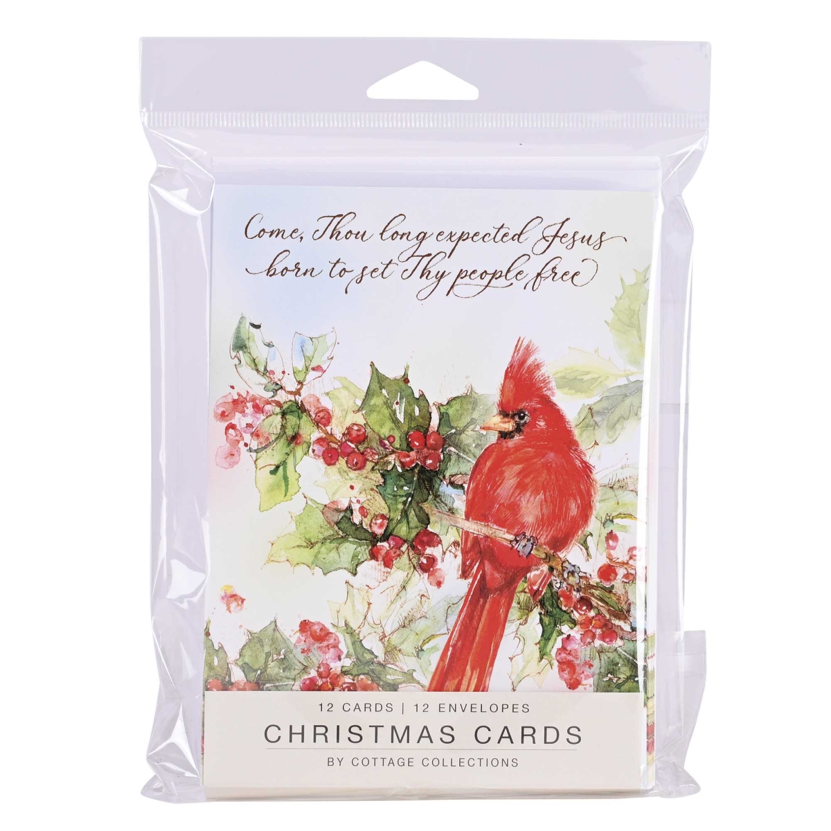 CDSET14S Card Set Christmas Long Expected Jesus