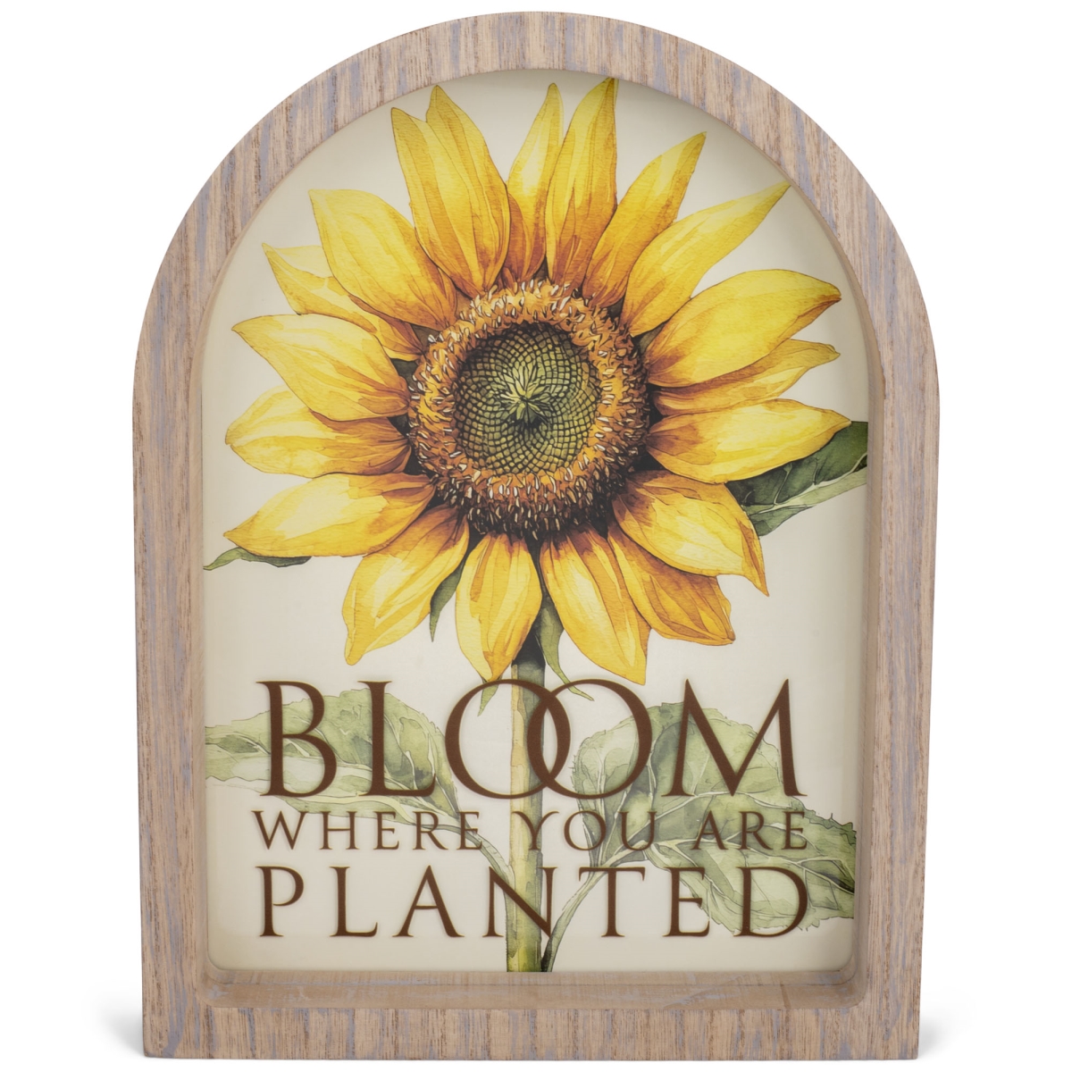 FRMA18 Framed Arch Bloom Where You Are 11x15