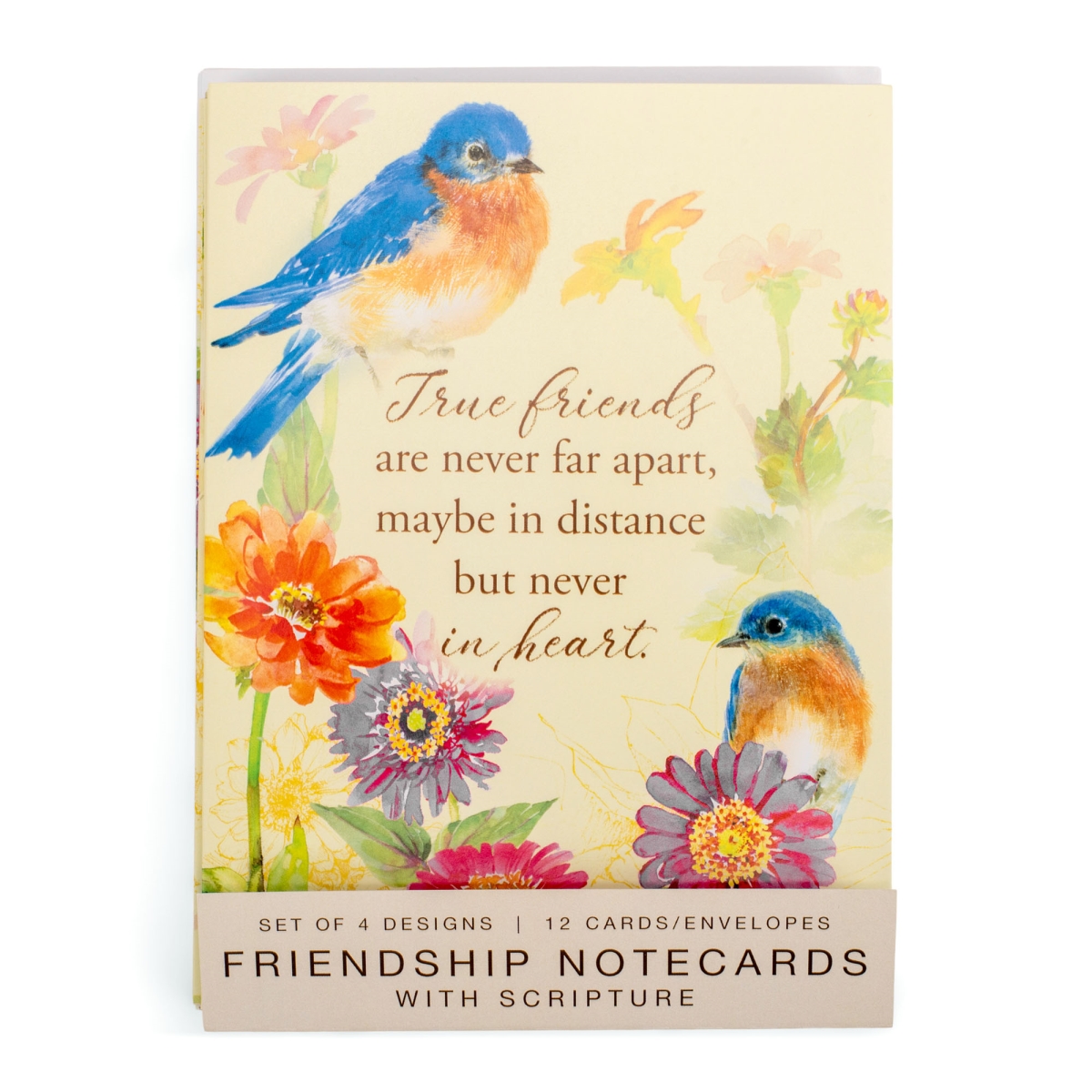 CDSET20S Card Set Friendship Scripture Blue Birds